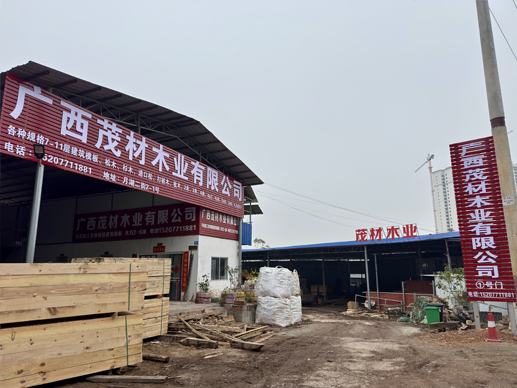公司簡介